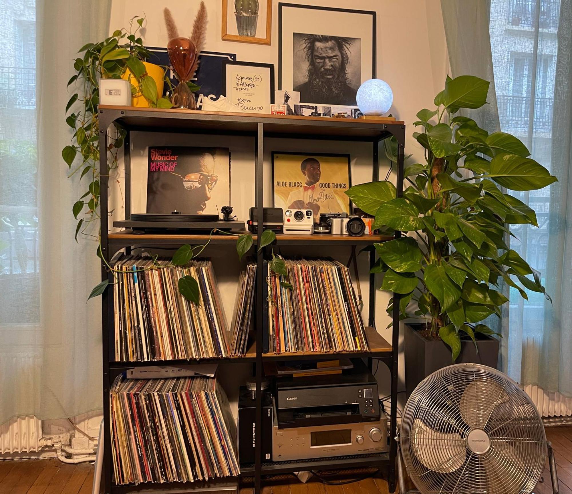 Apartamento Haussmannian Flat
