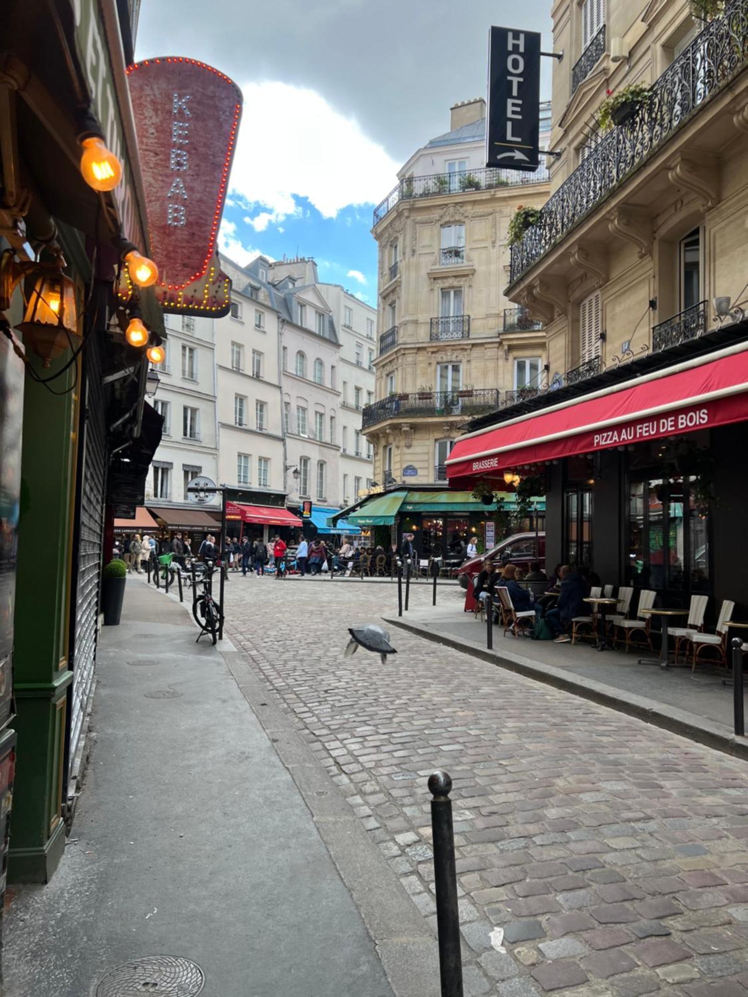 Quartierlatin