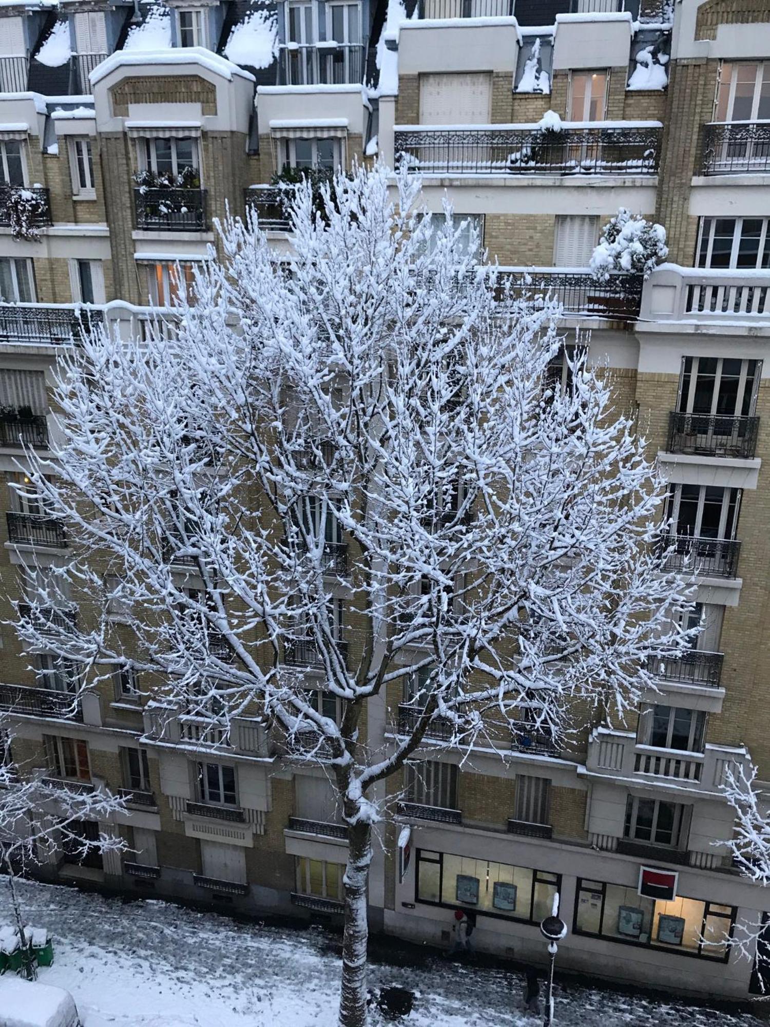 Superbe Centre - Buttes Chaumont Paris