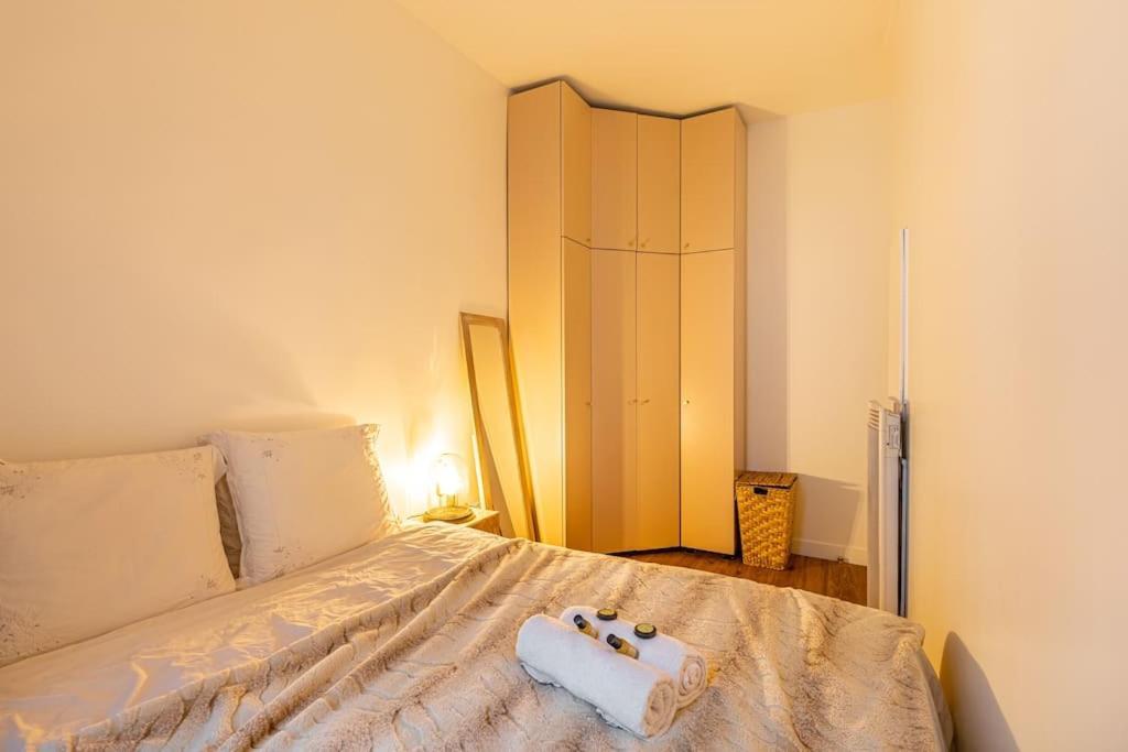 Apartment Chic Parisian Haven: Designer In The Heart Of Paris