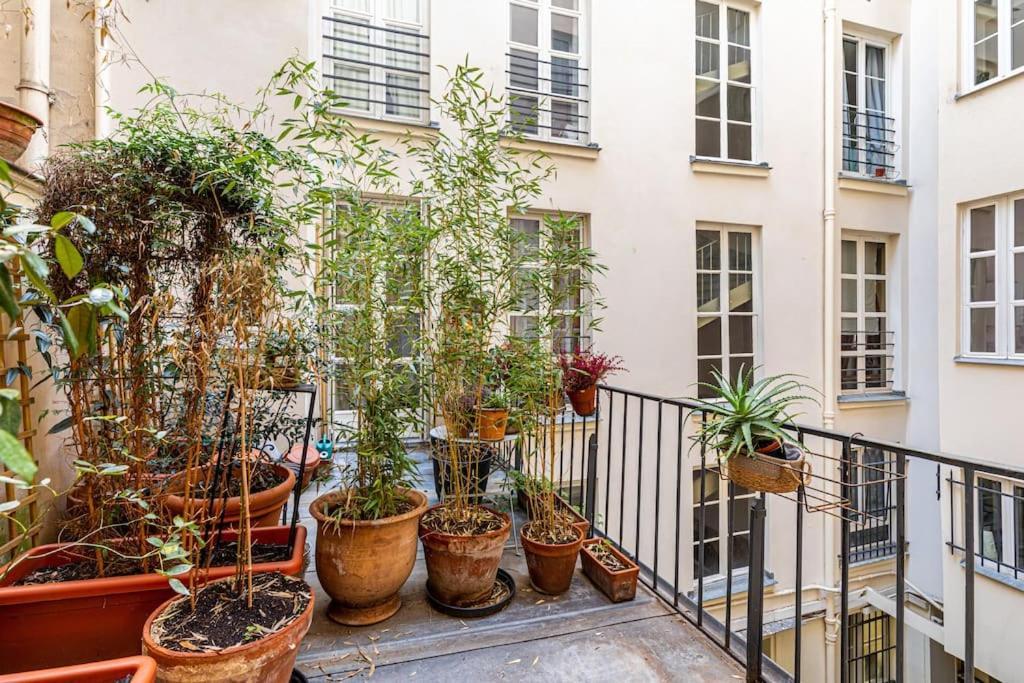 Apartment Chic Parisian Haven: Designer In The Heart Of *