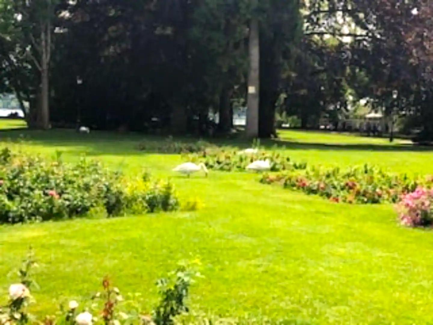 Beautiful 3 Flat - 14percent Sales Park Montsouris In Centre14eme Direct To Airport Apartment *