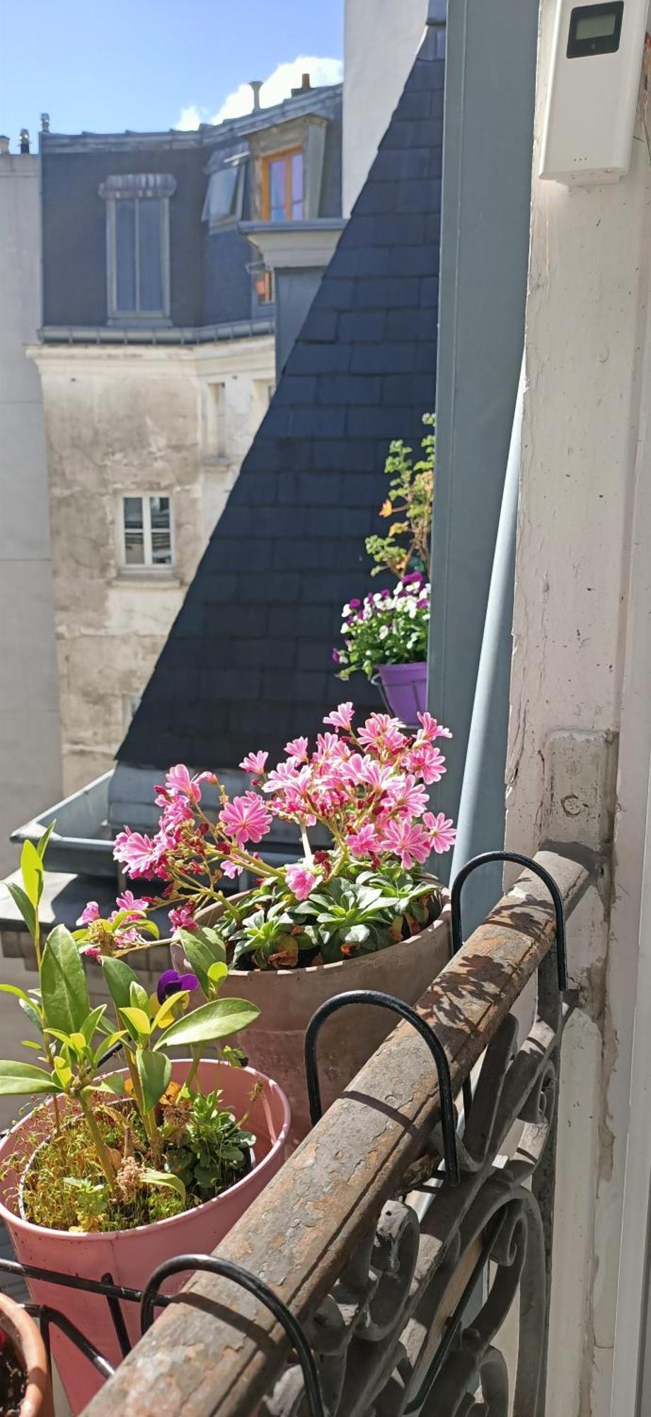 Homestay La Chambre Bleue Paris