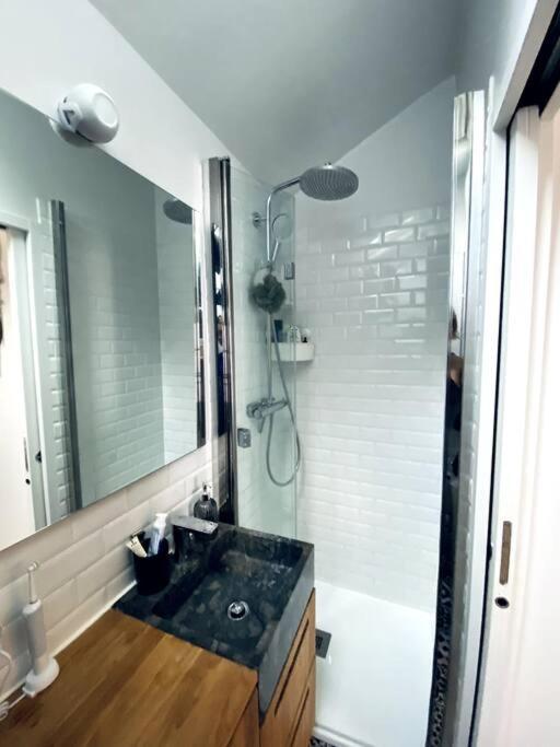 Apartment Le Marais Skylight Loft Escape *