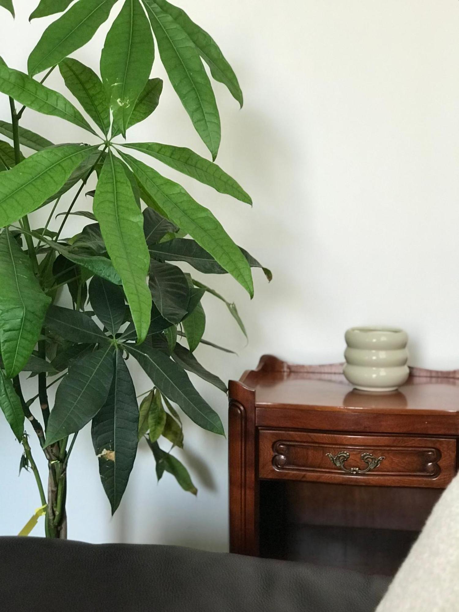 Apartamento Cozy Frenchy Nearby La Seine Paris