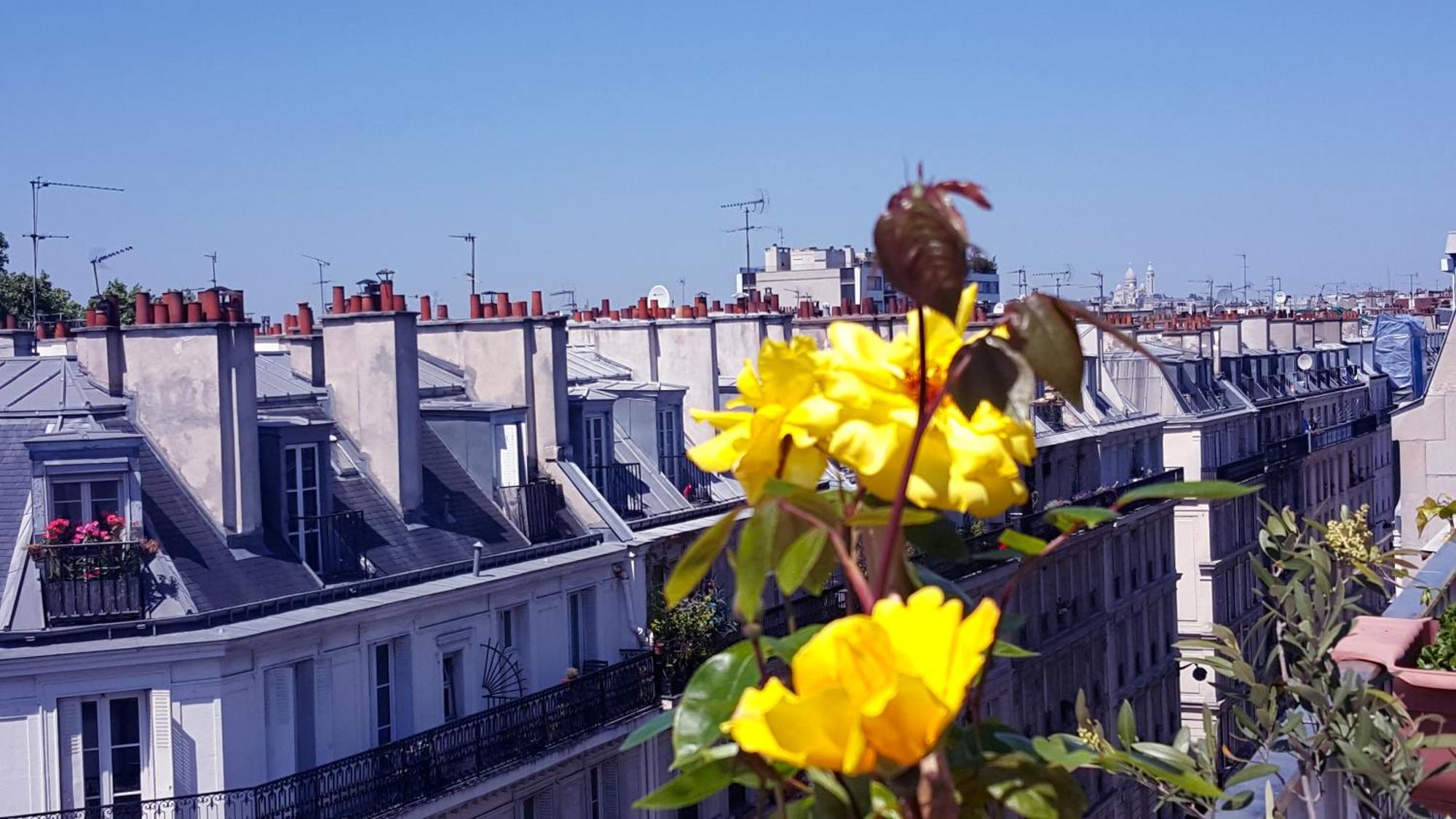 King Bedroom And Terrace In Center, Shared Bathroom * Paris