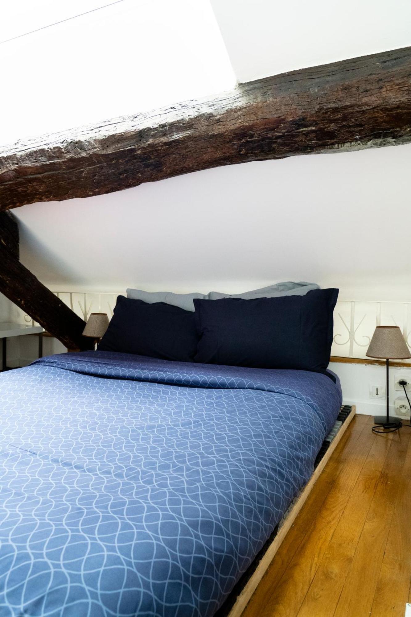 Le 64 Rue Chapon Apartment *