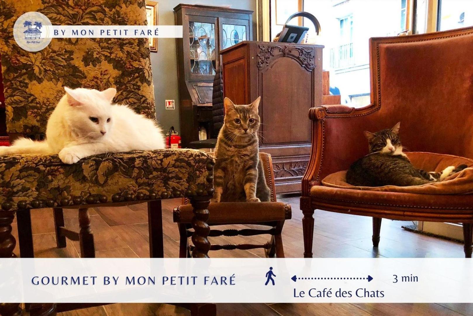 Le Perchoir - & Lumineux - Bastille Apartamento *