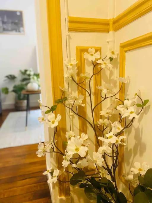 Domus Aurea Apartment
