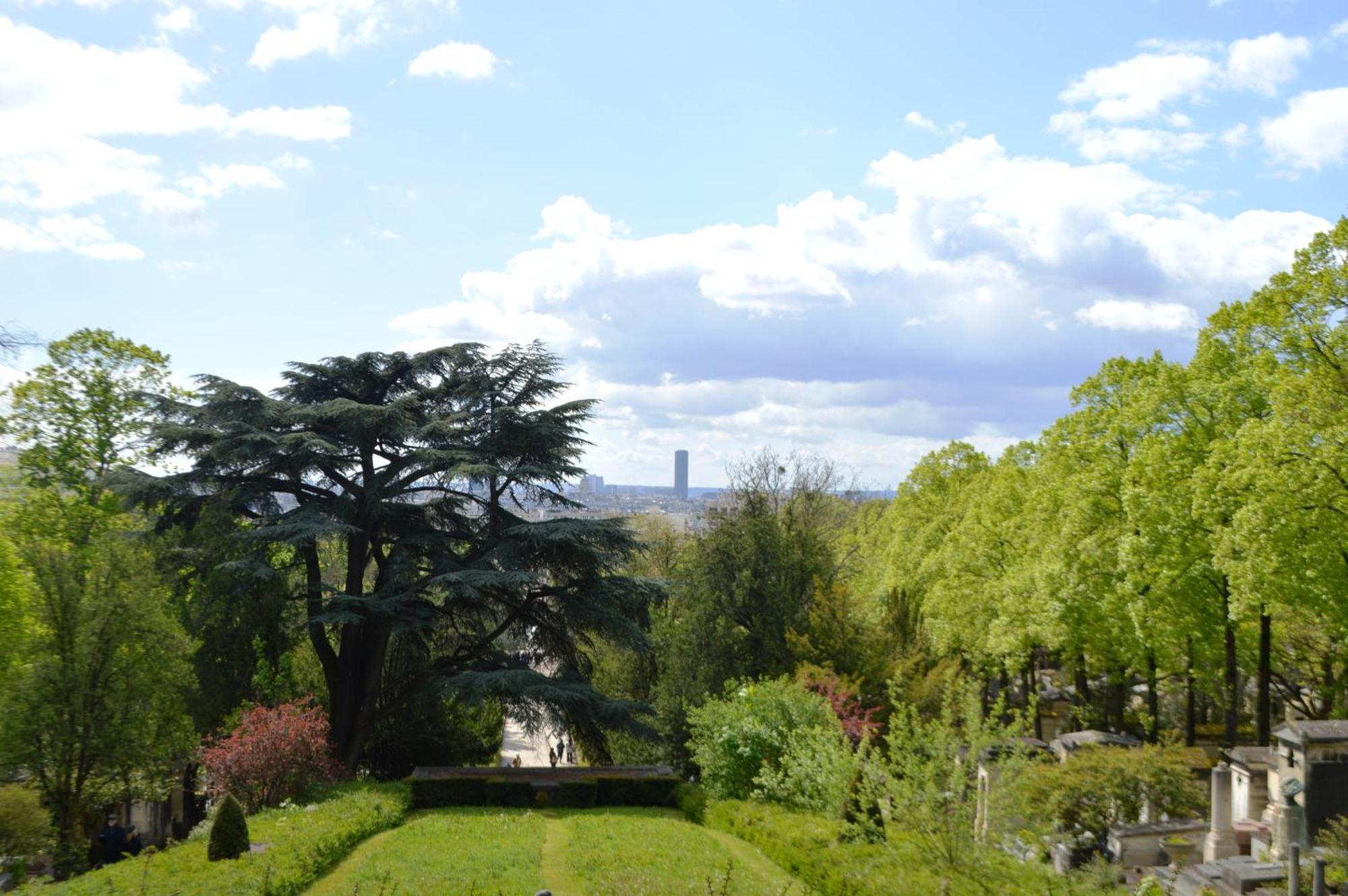 Dans Homestay Paris
