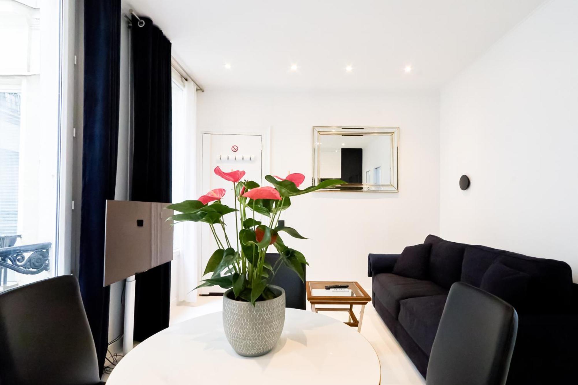 Appartement Romantisme Champs Elysees Paris