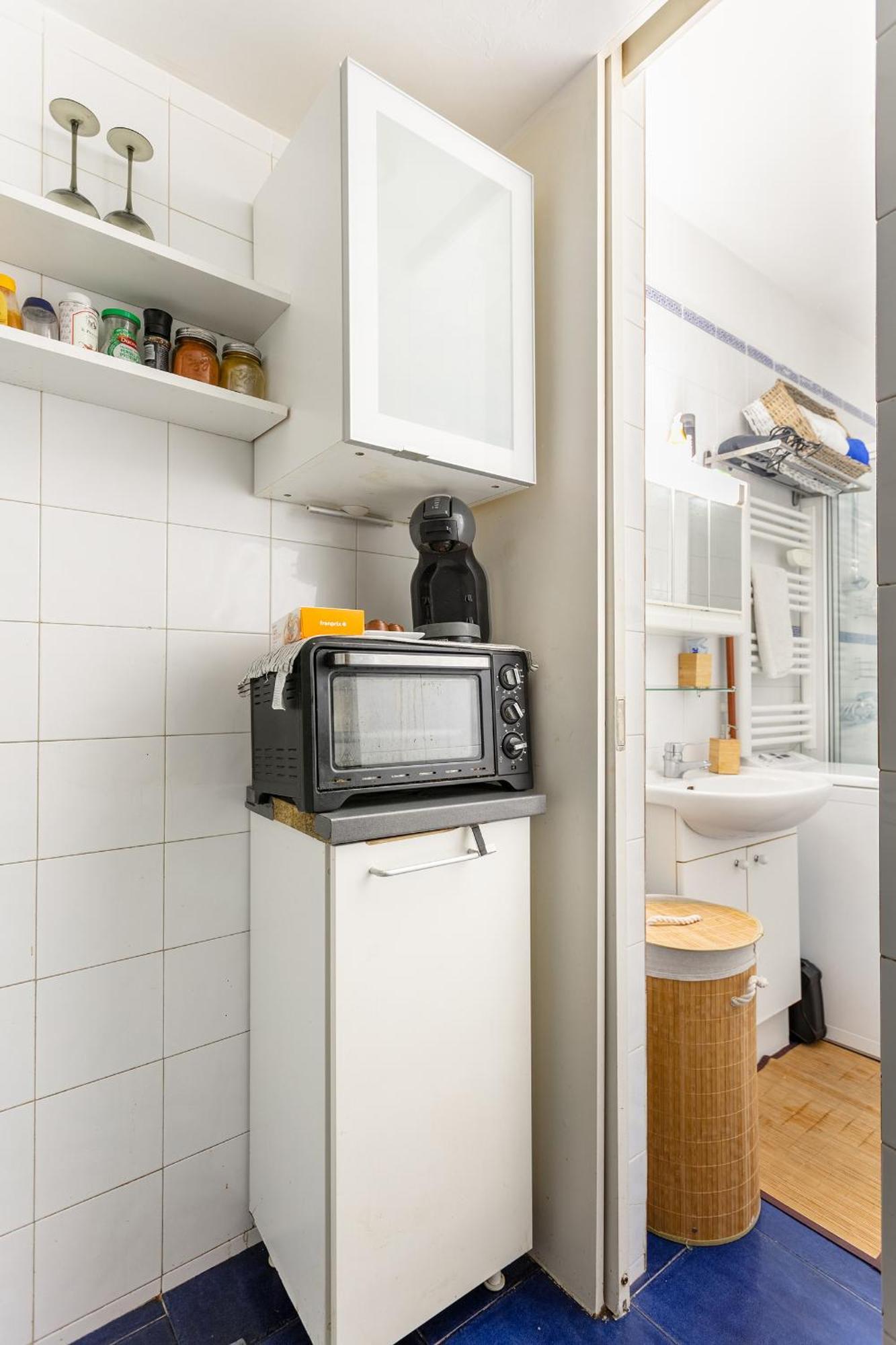 Superbe Louvre Apartment Paris