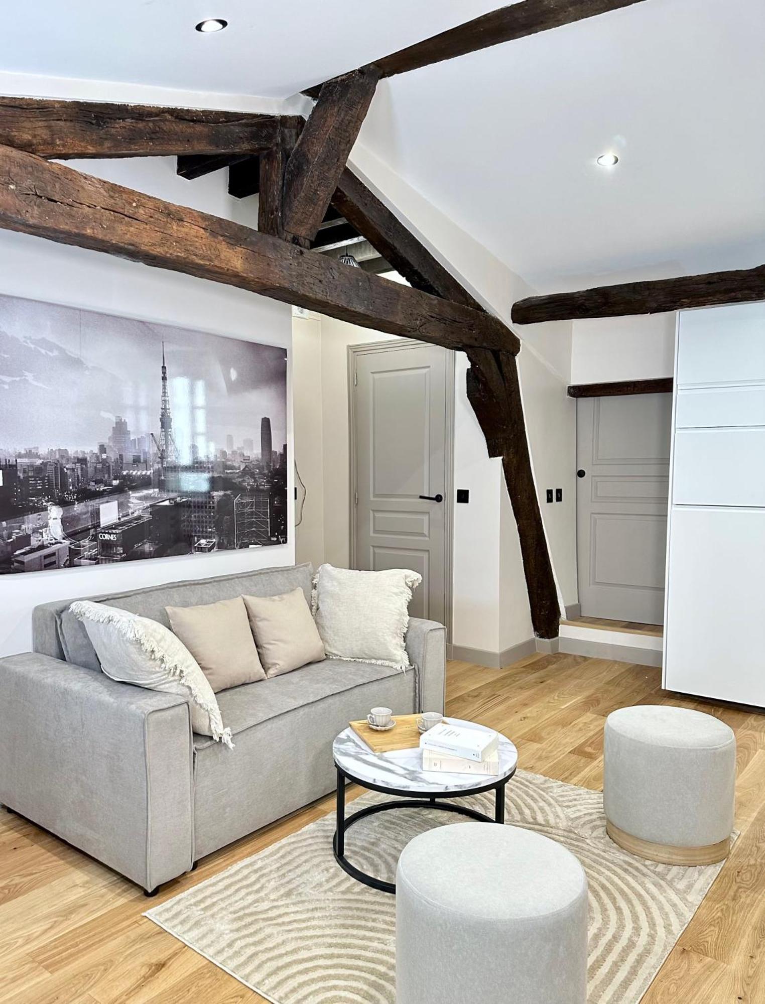 Le Marais' Finest Luxurious Apartment