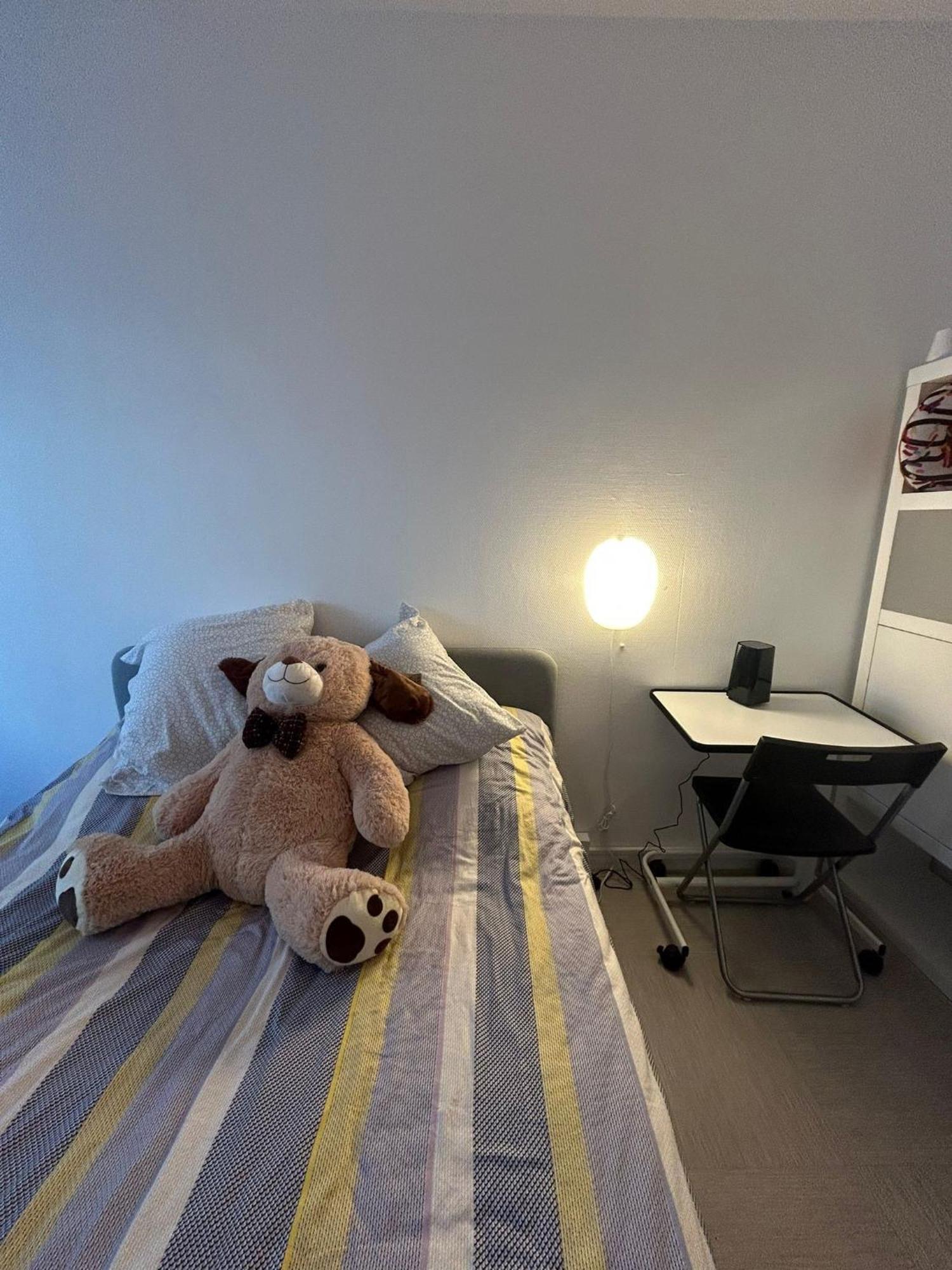 The Olympic In Host Female Guests Only Homestay