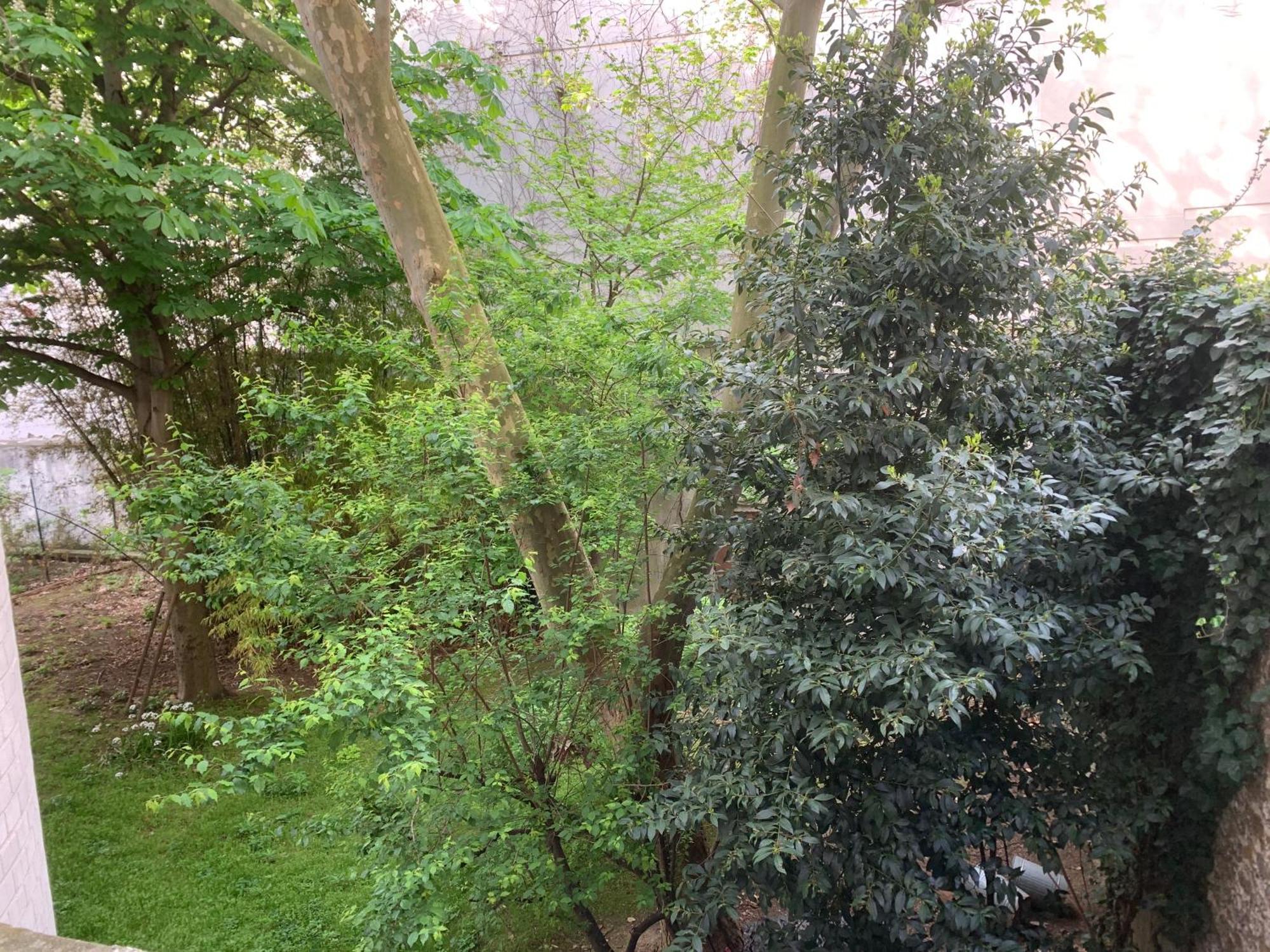 Apartment Pere Lachaise *