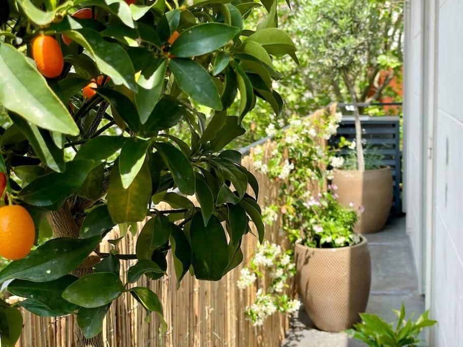 Loft Chic & Cosy, 9, Anvers - Montmartre