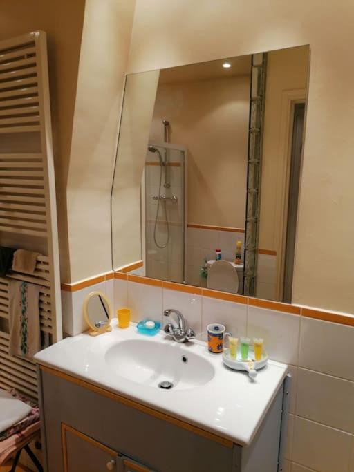 Apartment 2 Pieces Apercu Vue Sacre Coeur-rue Des Martyrs Paris