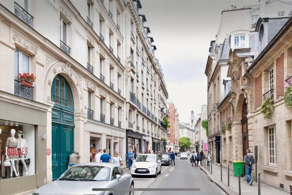 Delux2 Large Marais Apartment