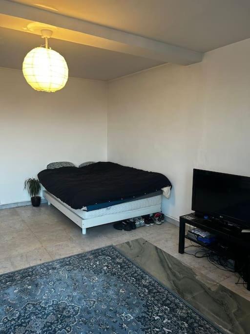 Unique View For Olympics Apartment *