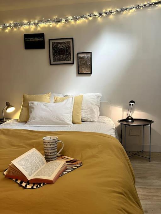 Grand Triplex Calme Avec Cour Privee Apartment
