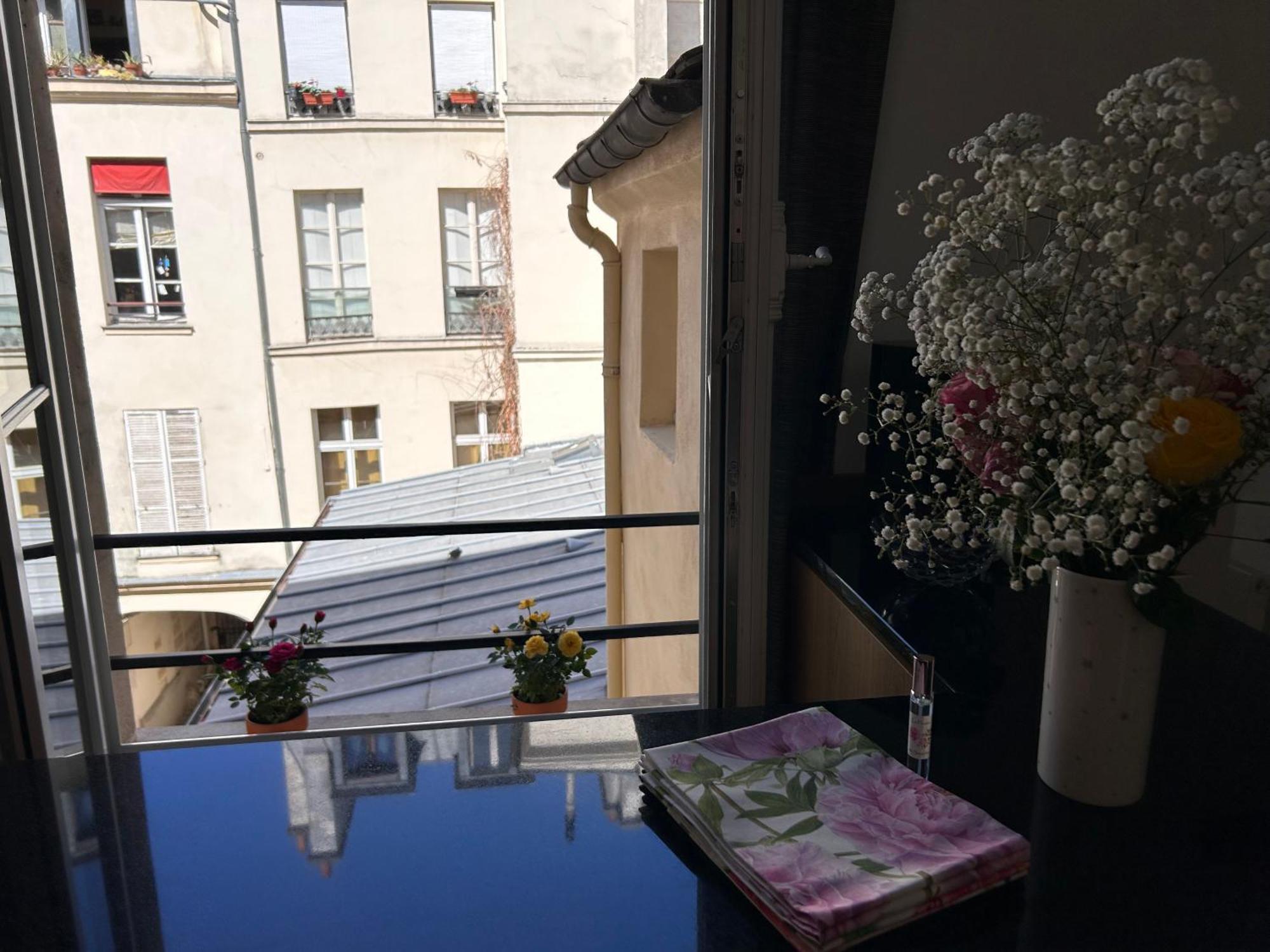 Rose Appartement Paris