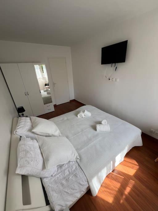 Appartement Saint Bernard *