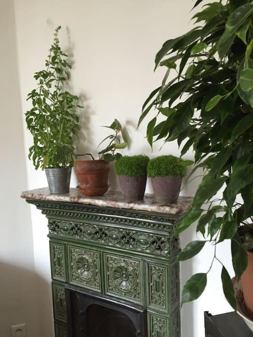 Cosy, Calme Et Lumineux