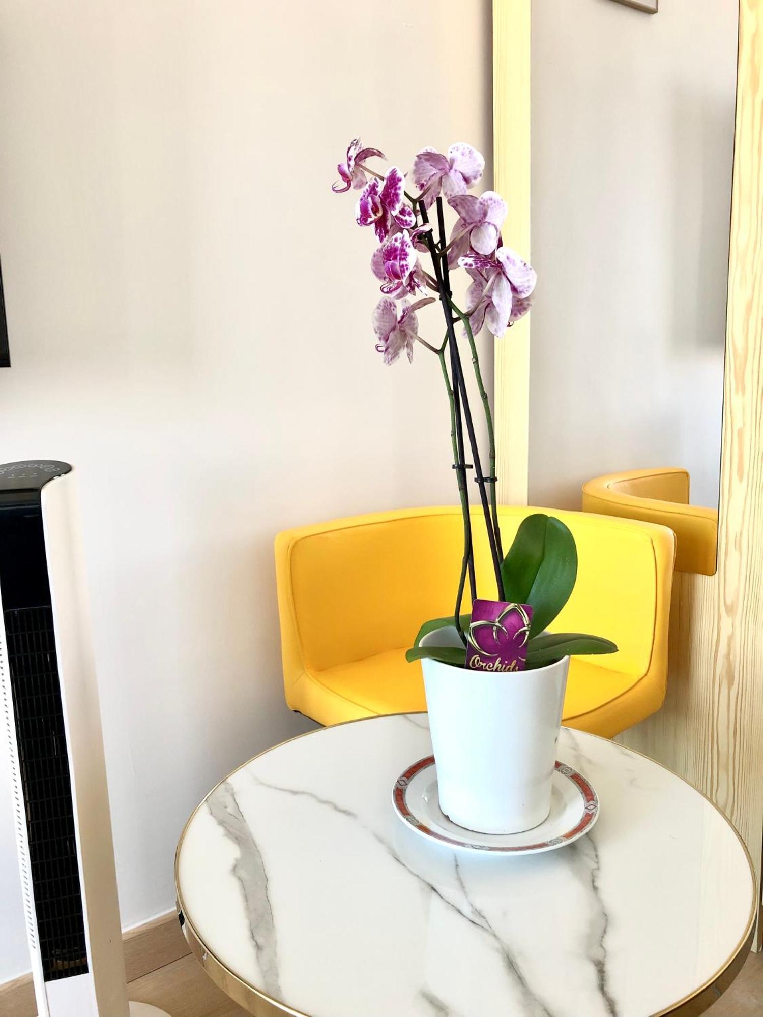 Lucas Salle De Bain Privative Homestay