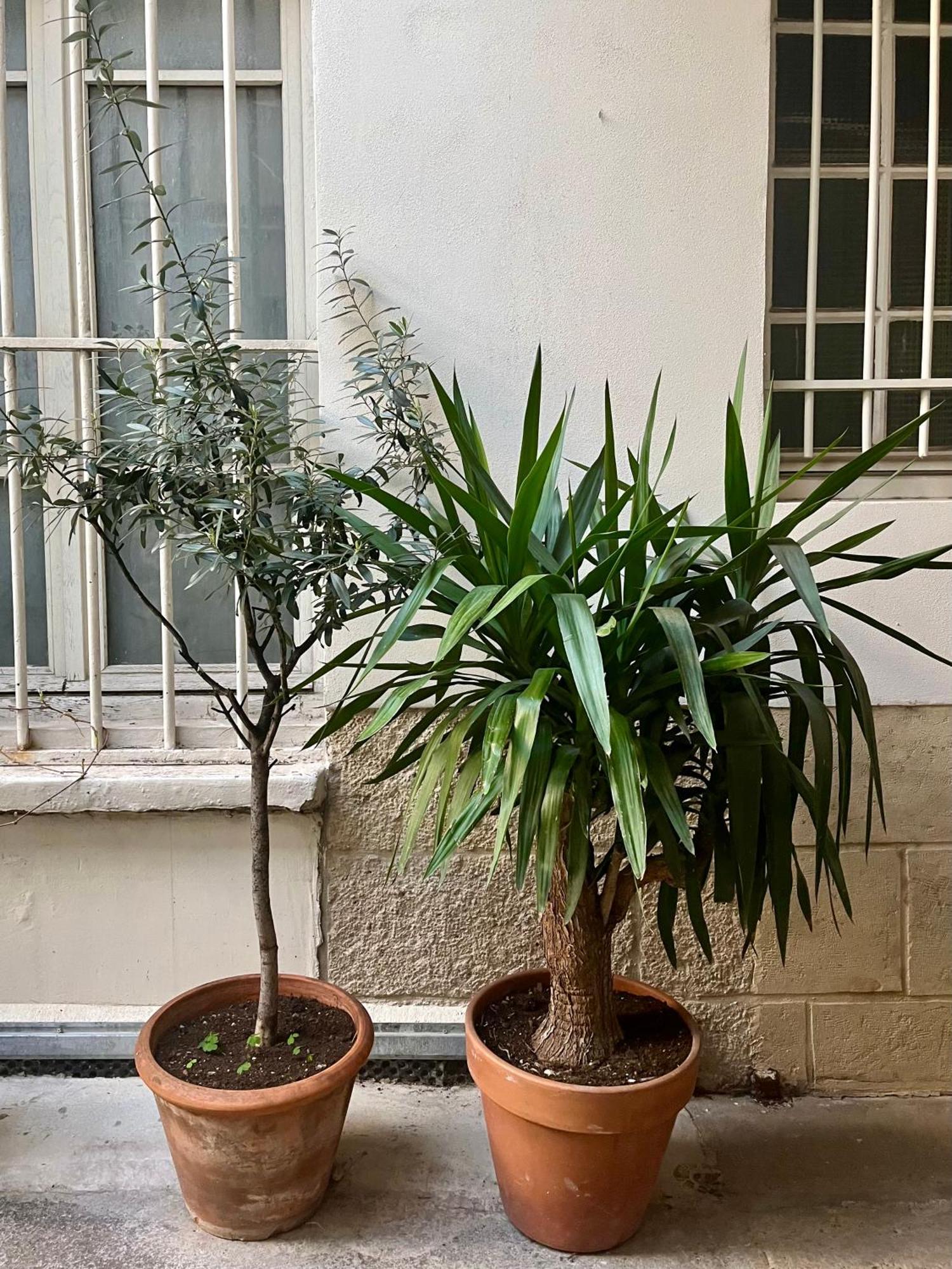 Apartment Jardin Des Plantes