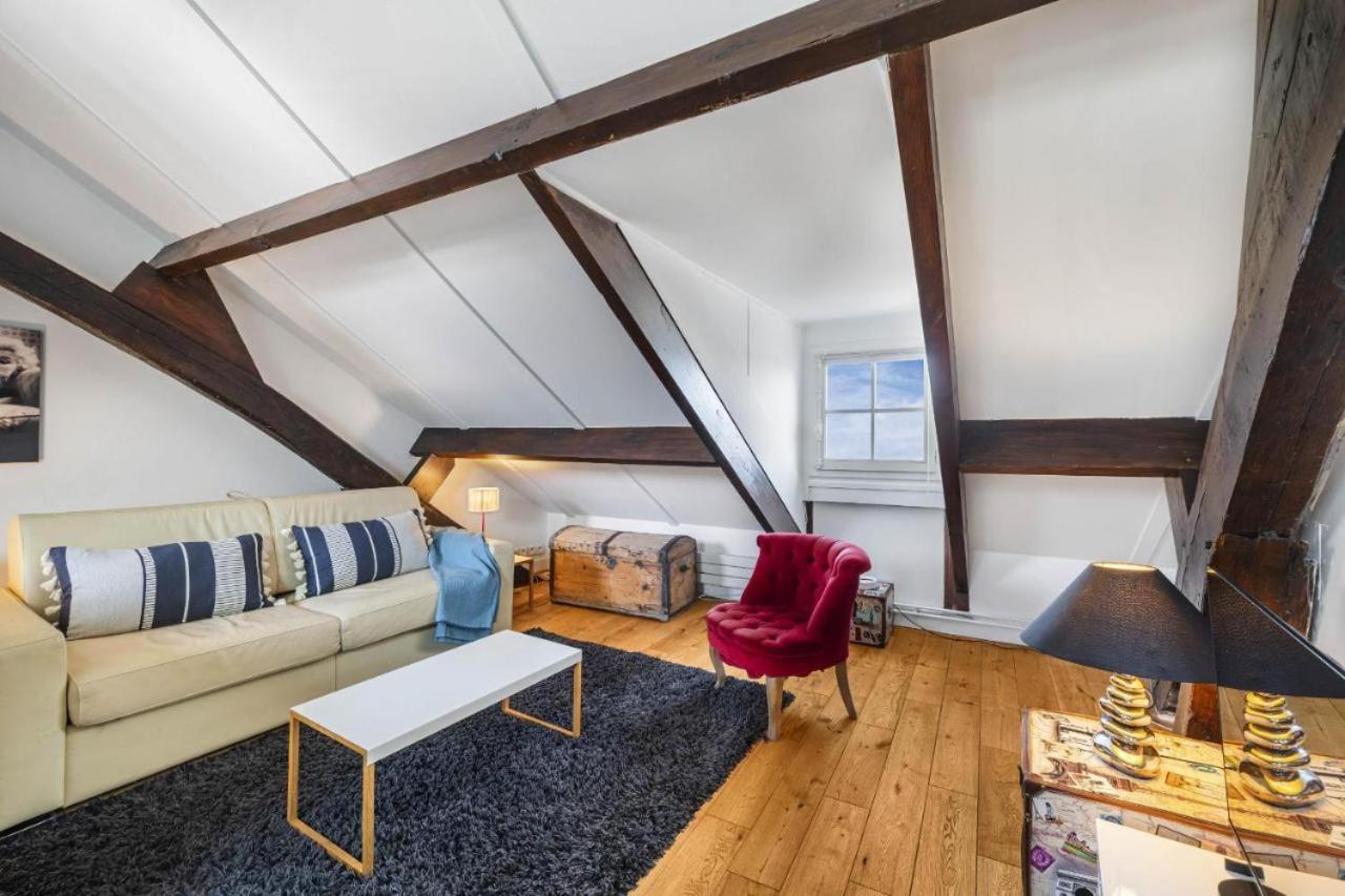 Marais Rooftop Appartement