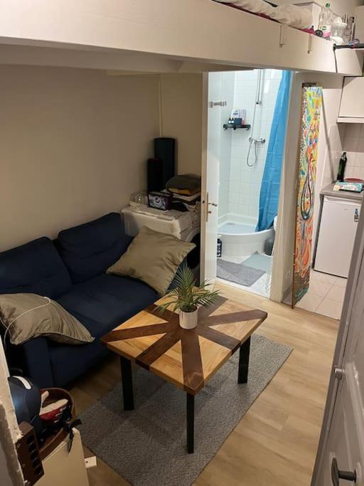 Studio Charmant Sur Cours Apartment Paris
