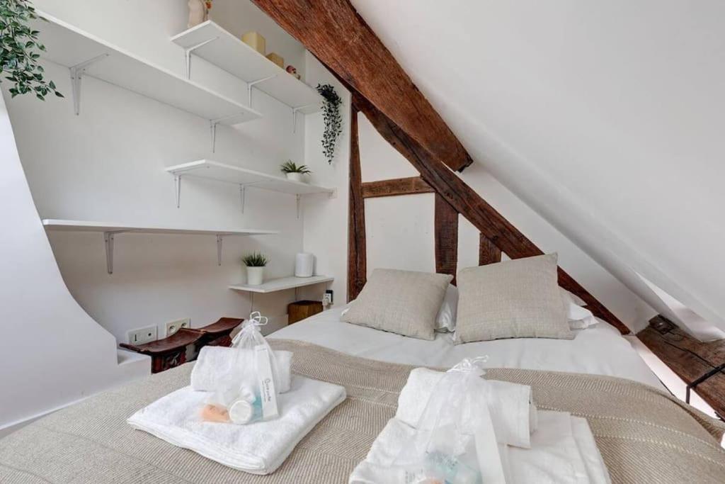 Loft Place Des Vosges Apartment Paris