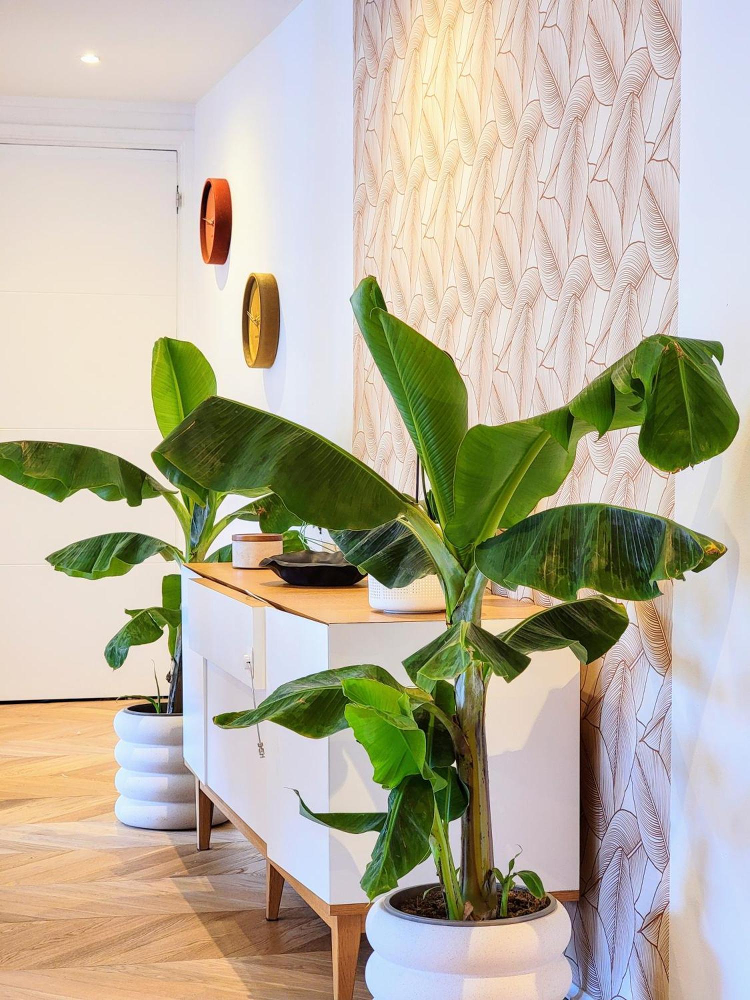 Luxury Flat With Balcony Near Arc De Triomphe * Paris