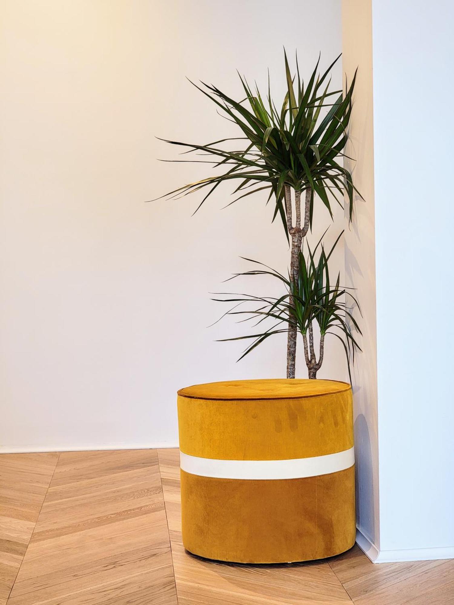 Luxury Flat With Balcony Near Arc De Triomphe Apartment *