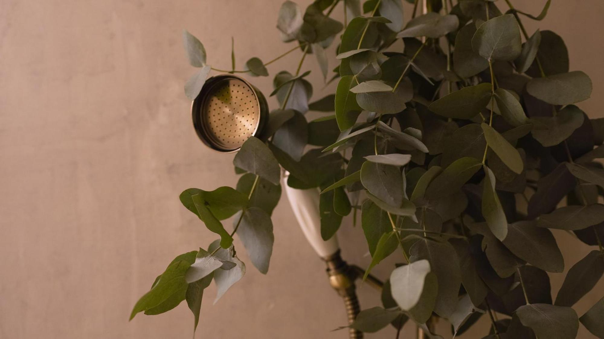 Appartement Elegance And Parisian Charm Tuileries *