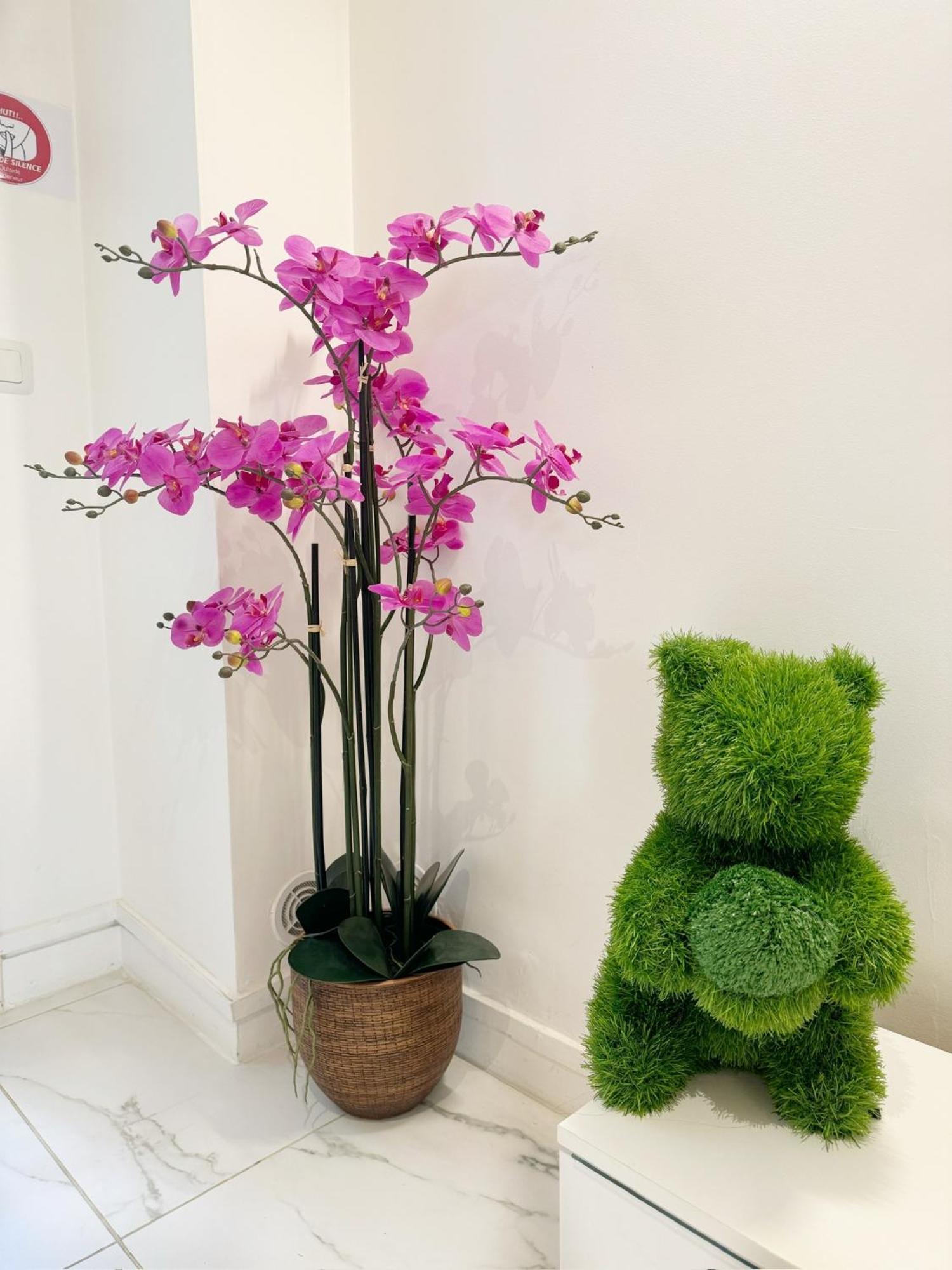 Location Calm Palais Royal Louvre Opera Concorde Clim Apartment Paris