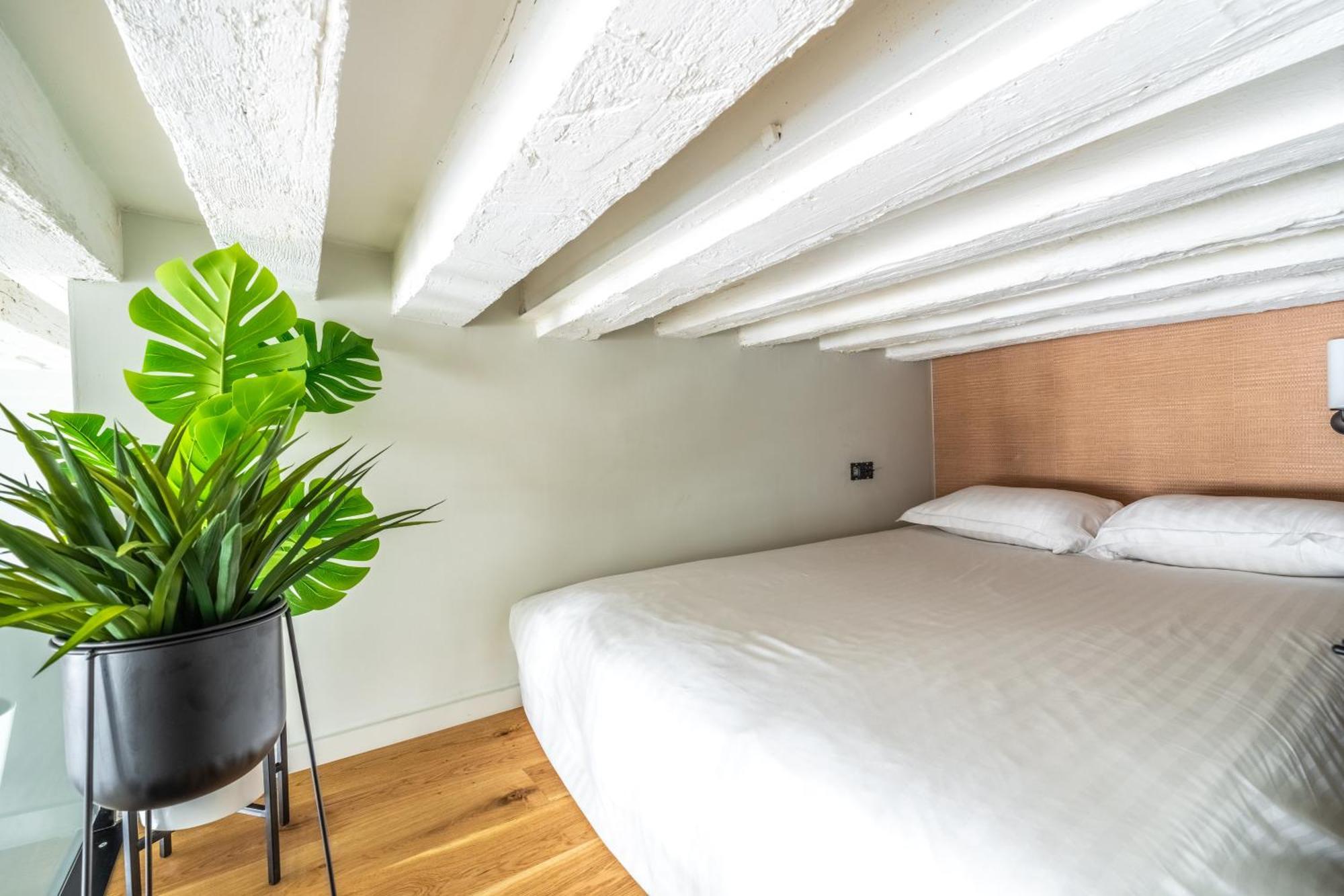 Luxury Apartement, Center Of Appartement *