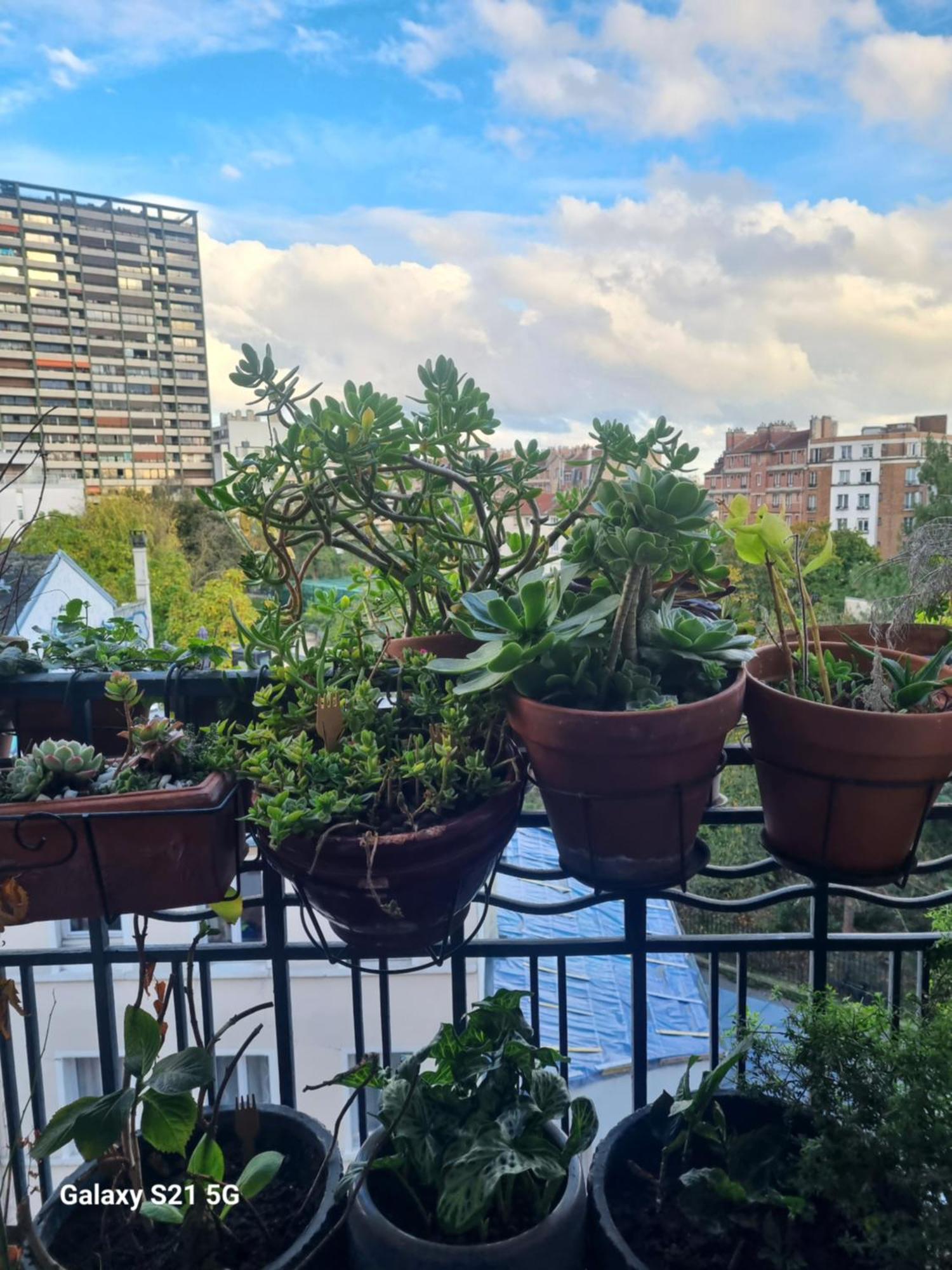 Le Nid D'aigle Apartamento *