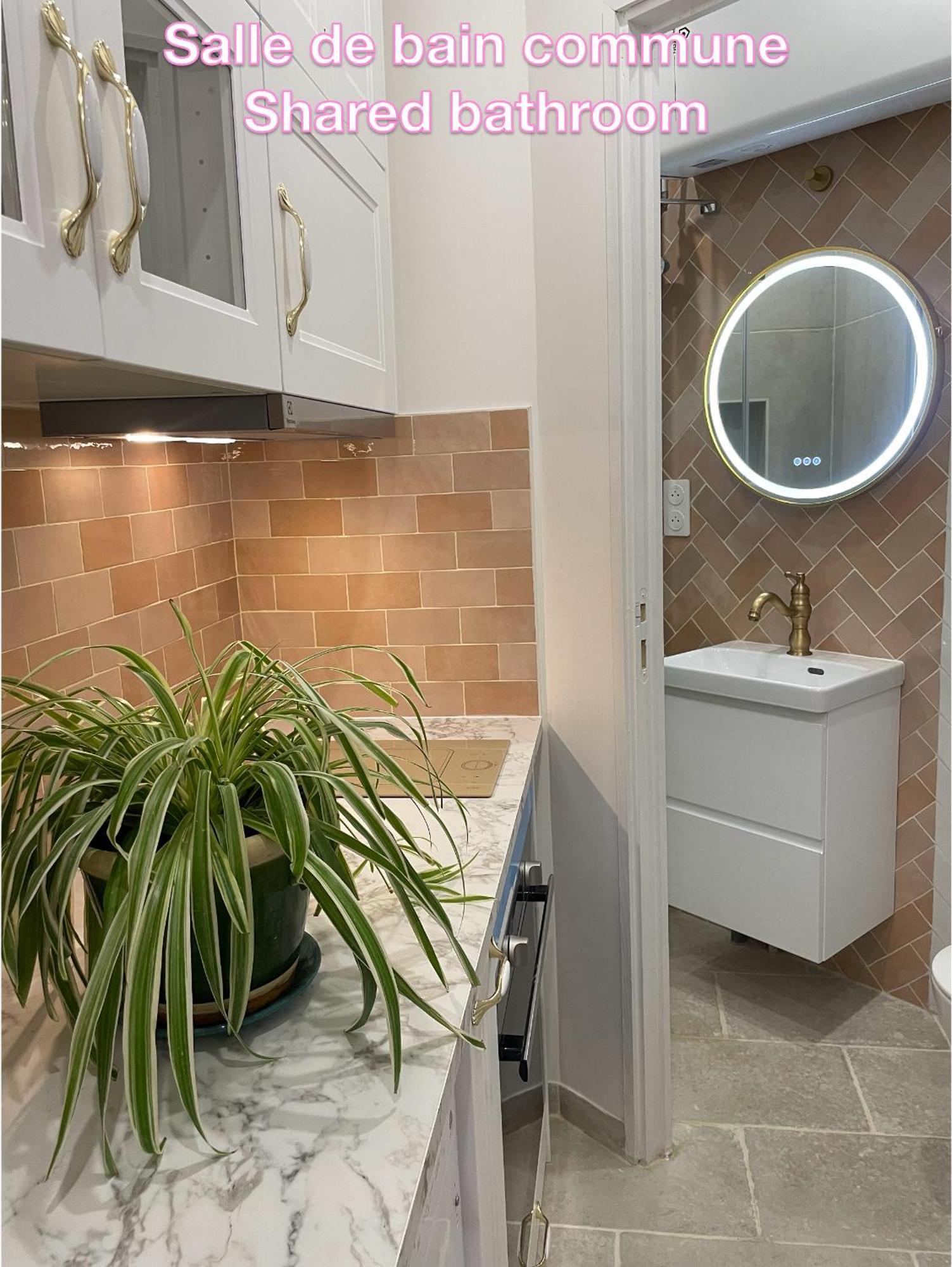 Homestay Privee, Sdb Partage, Arc De Triomphe, Metro 1, T3b, Rer C E A Paris
