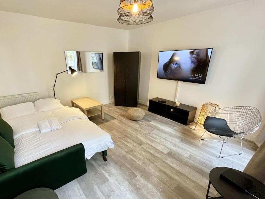 1br Et Canape Lit Dans Le Salon