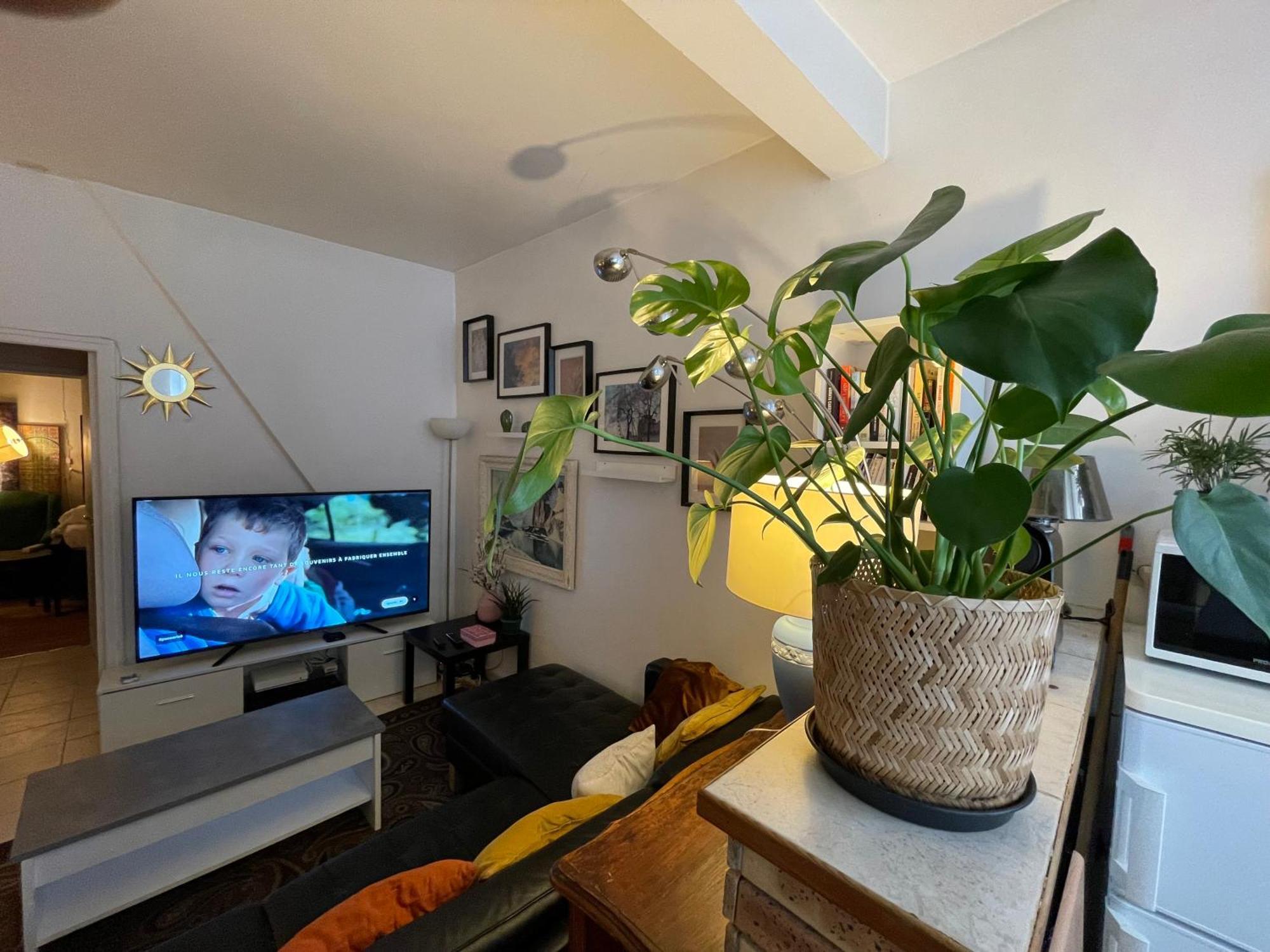 Arrondissement 10 Apartment Paris