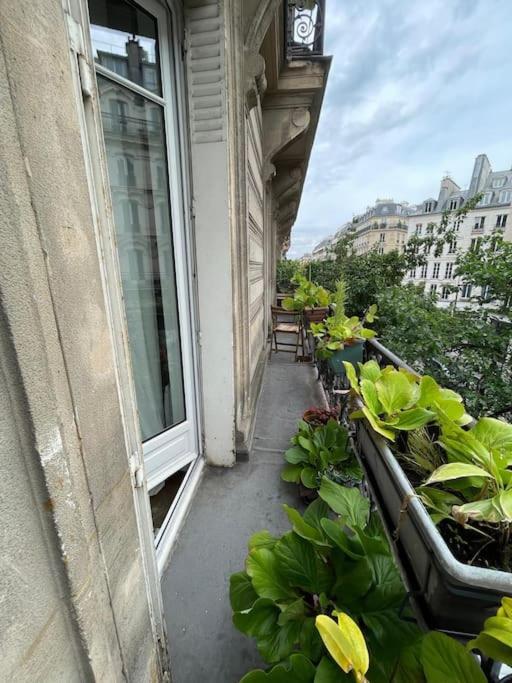 Elegant Parisien *