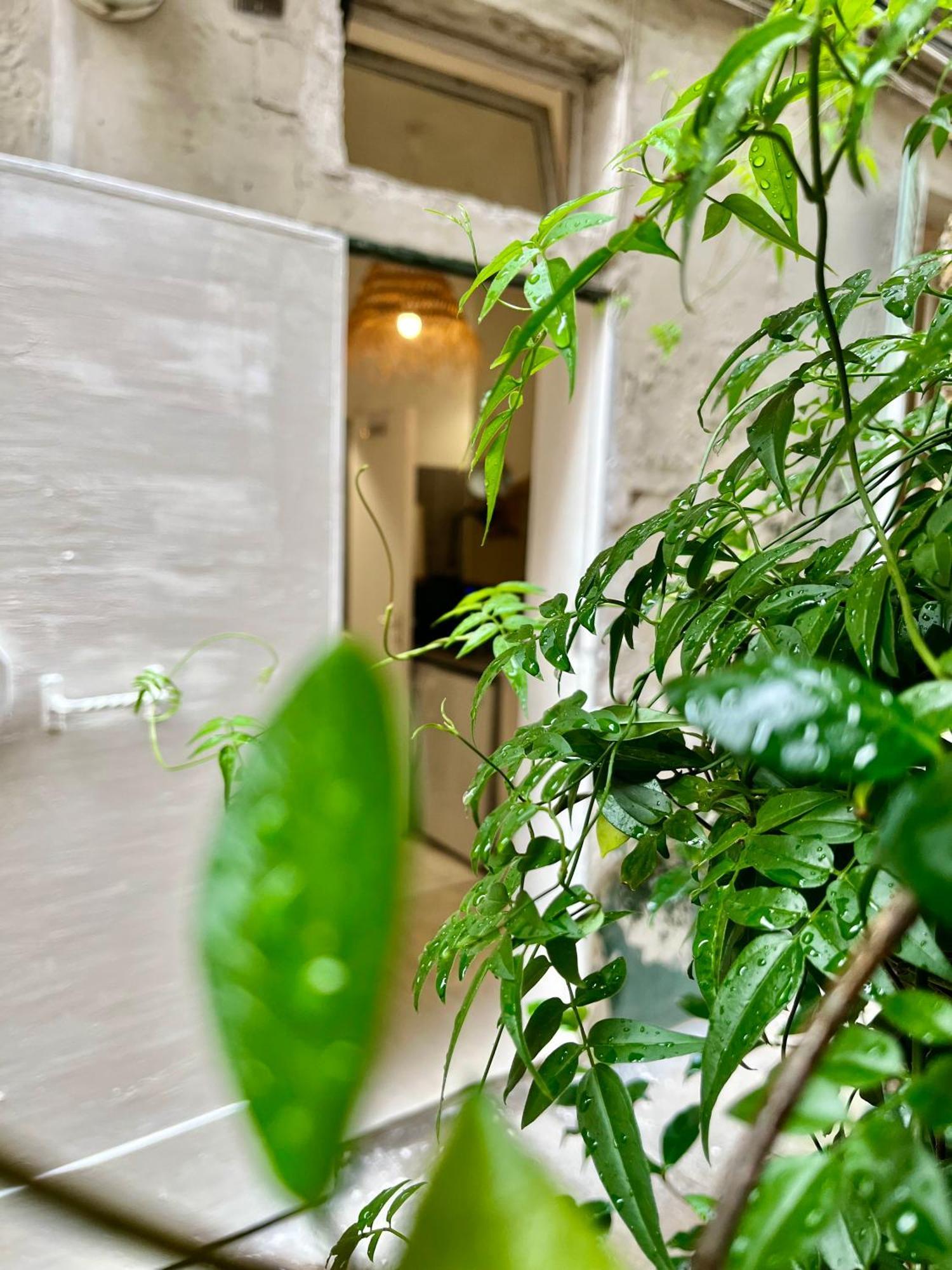 Apartment Centre Calme Cosy *