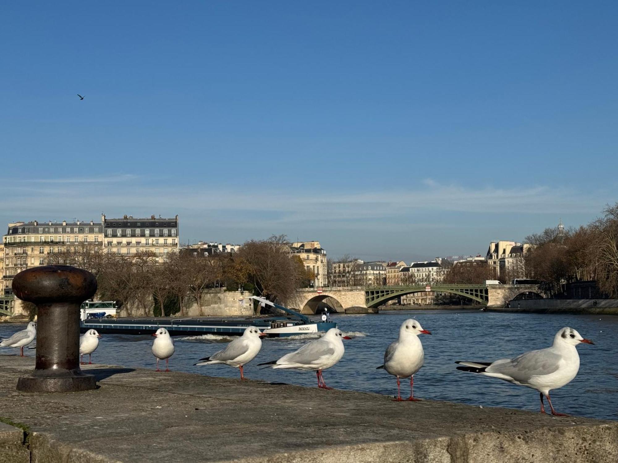 Parisian Pantheon Apartment: Retreat Apartment Paris