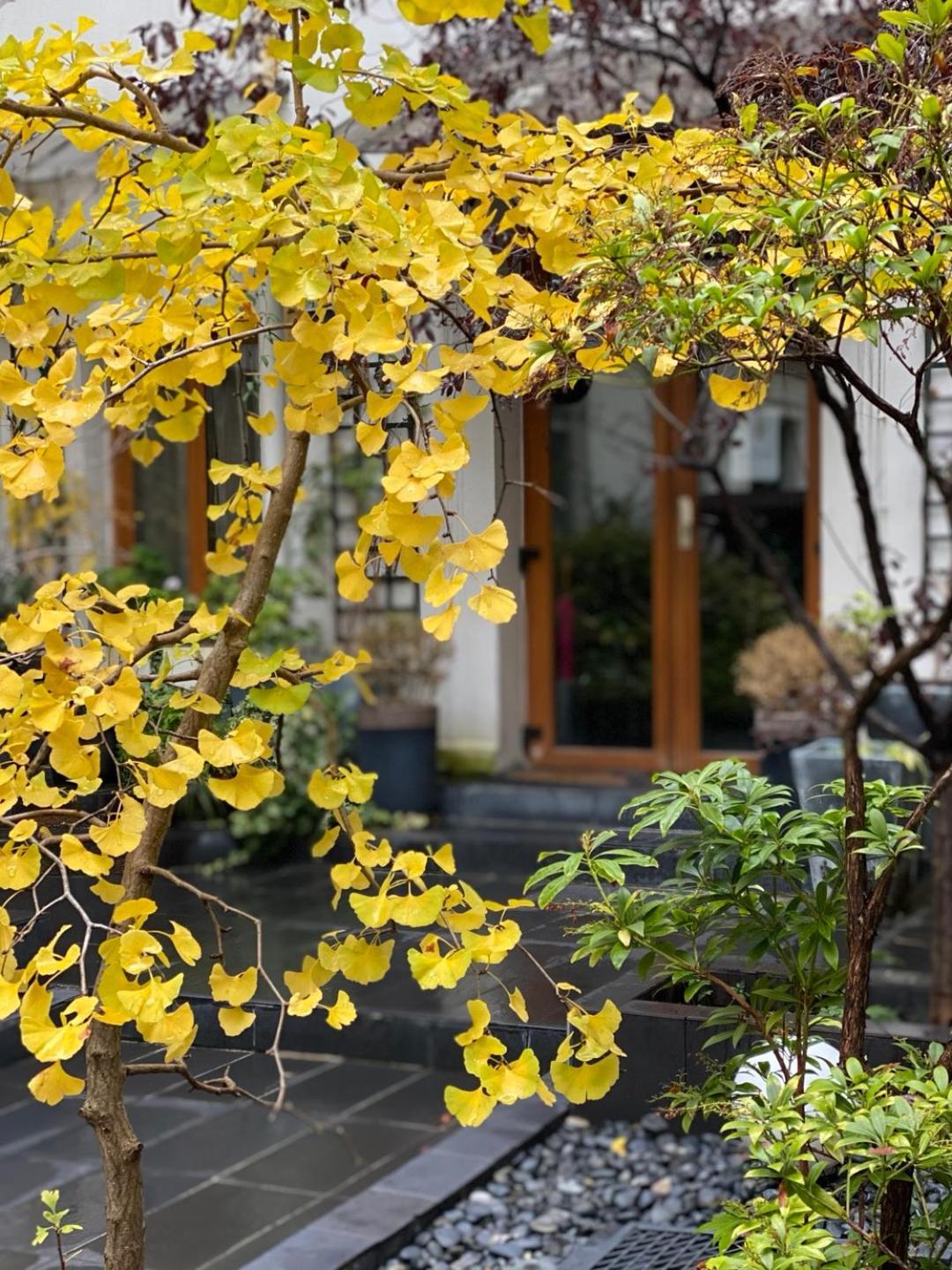 Camparis - - D'hotes Couette-café