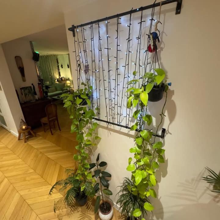 Magnifique Proche Du Centre Apartment *