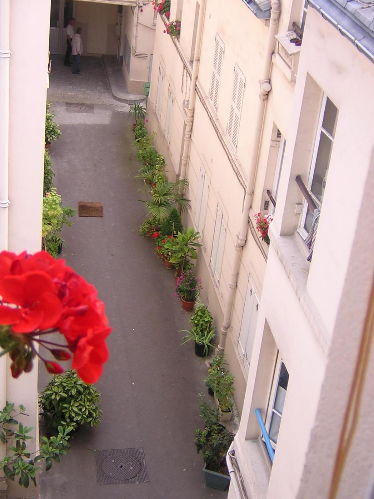 Calme Et Repos, Vue Sur Les Arbres Paris