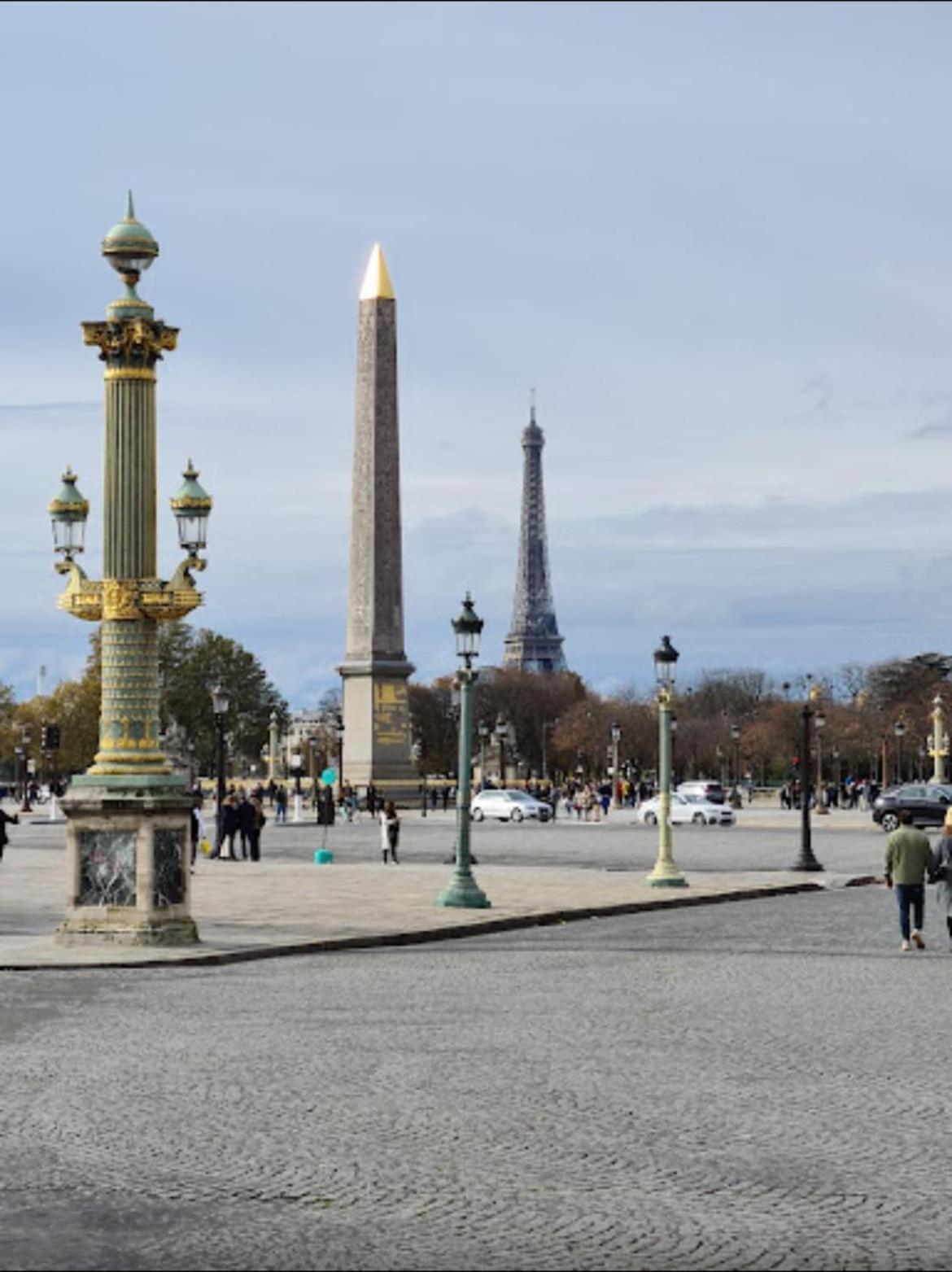 Elysee Concorde 8e Apartment