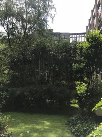 Havre De Paix En Plein Apartamento *