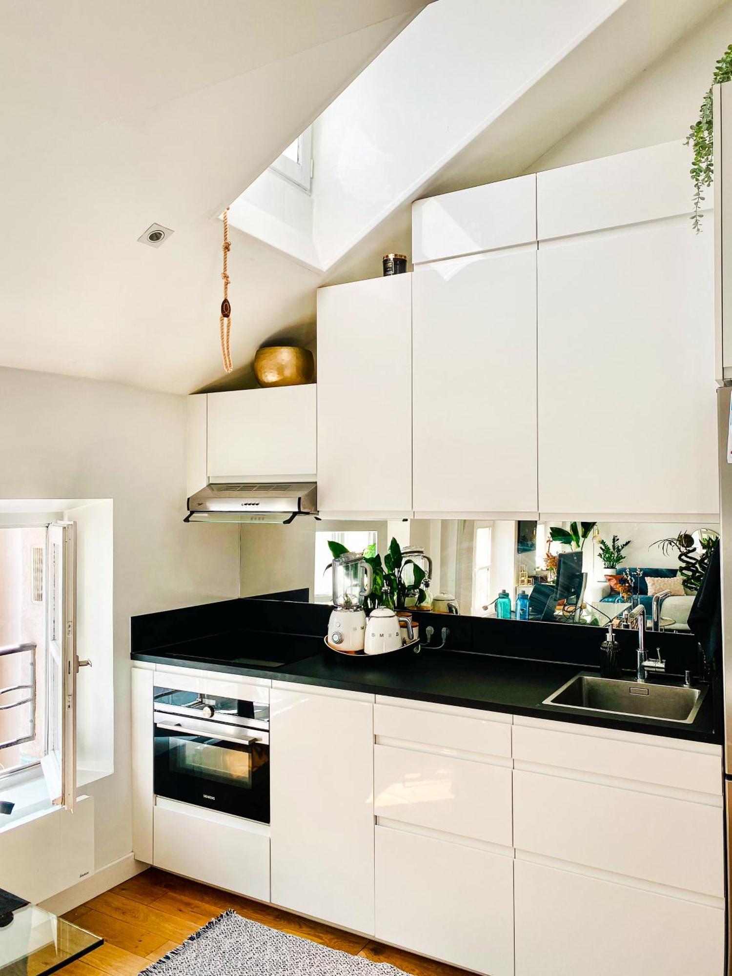 Le Marais Skylight Loft Escape Apartment Paris